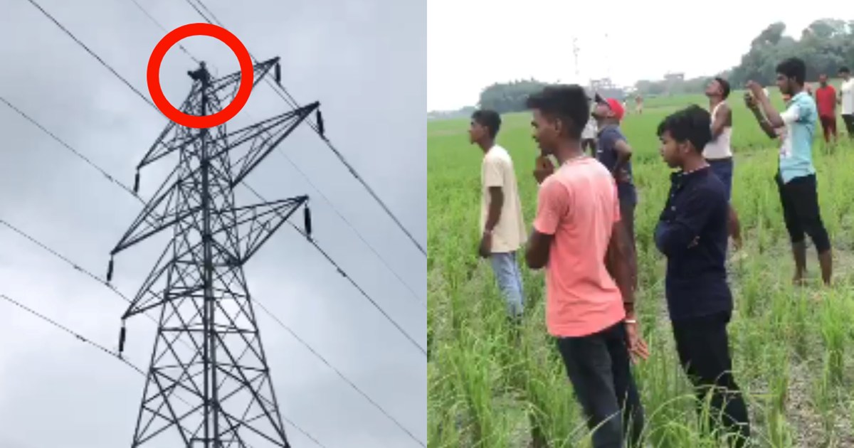 Young man climbed the tower after a fight with his wife, hig
