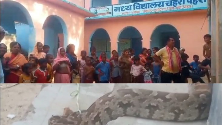 Python snake found near school in Gaya, panic ensues Python snake found near school in Gaya, panic ensues