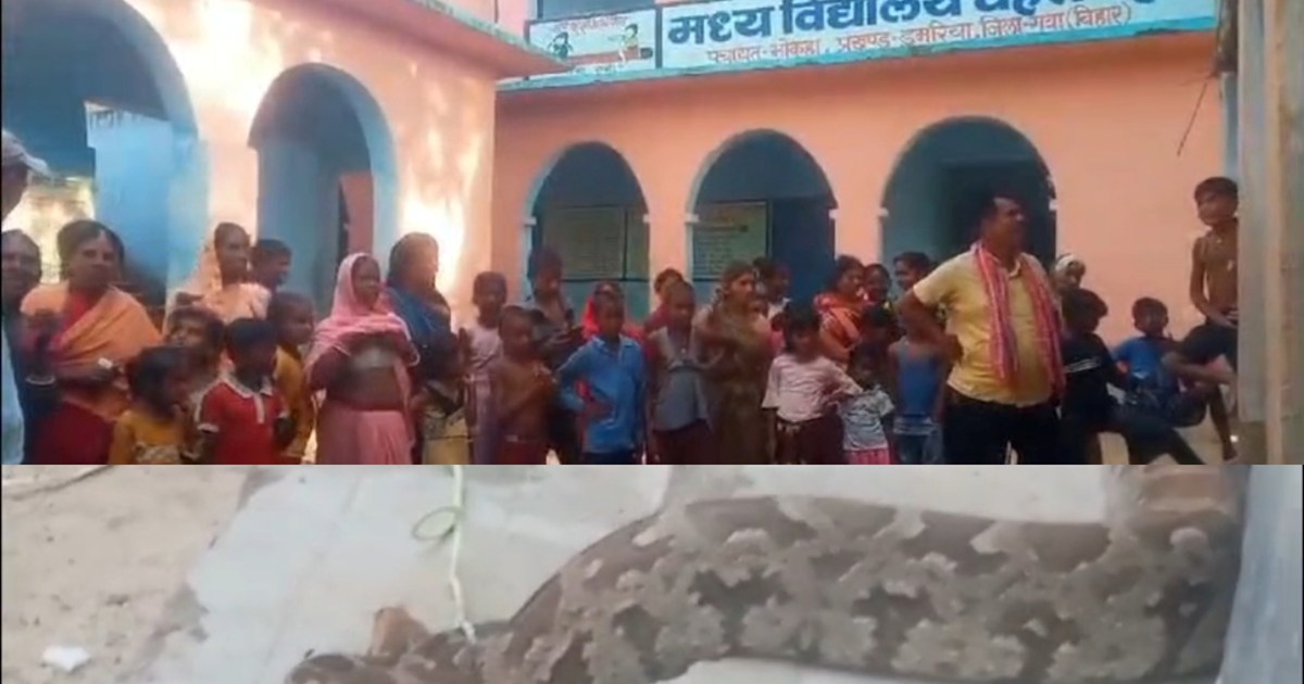 Python snake found near school in Gaya, panic ensues