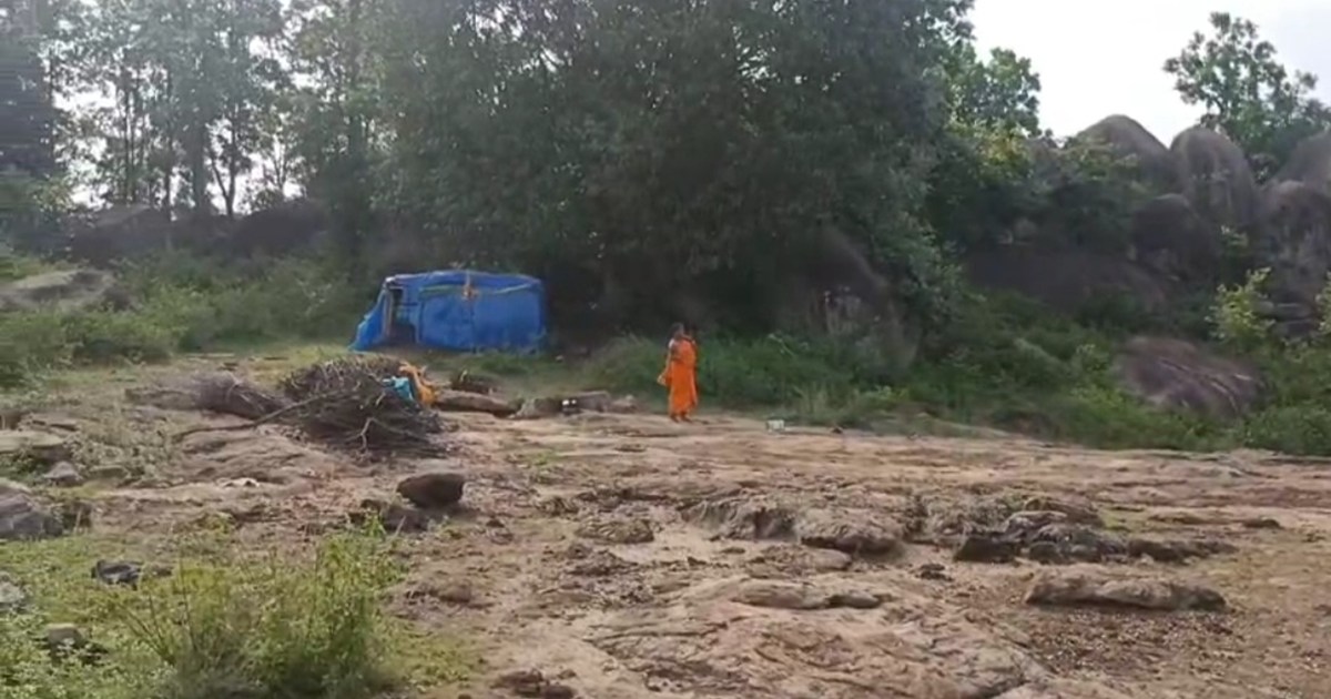 A woman's forest life in the modern era, know the reason