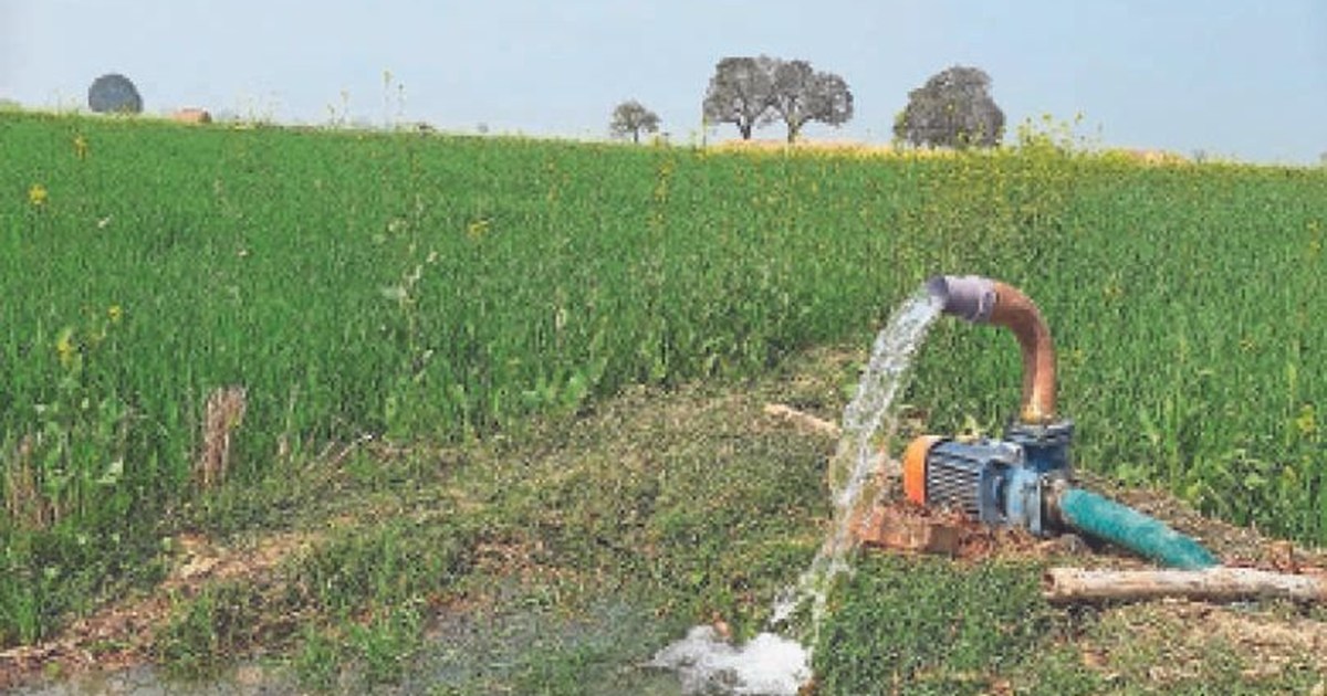 Jija and sala died together