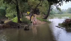 Camur me badh se kisano ki fasal doobi: Barish ki wajah se mitti ka ghar gira, beghar huye log...