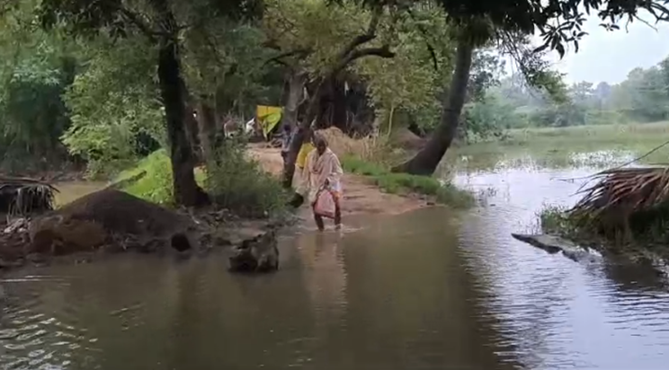 Camur me badh se kisano ki fasal doobi: Barish ki wajah se m Camur me badh se kisano ki fasal doobi: Barish ki wajah se m