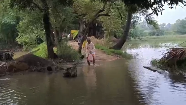 Camur me badh se kisano ki fasal doobi: Barish ki wajah se m