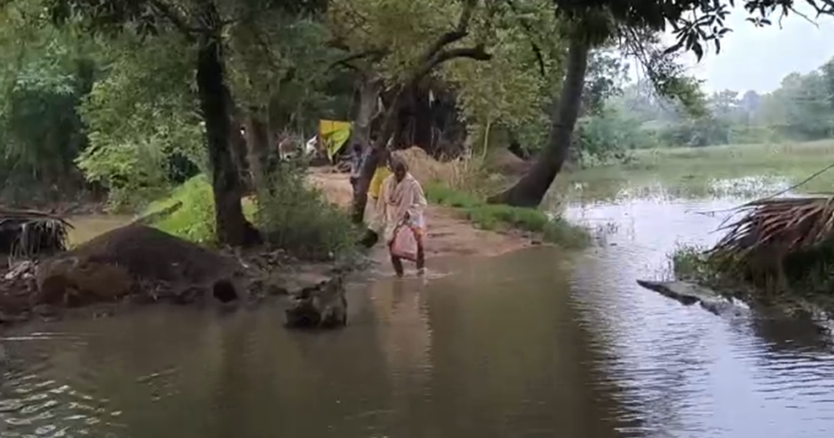 Camur me badh se kisano ki fasal doobi: Barish ki wajah se m