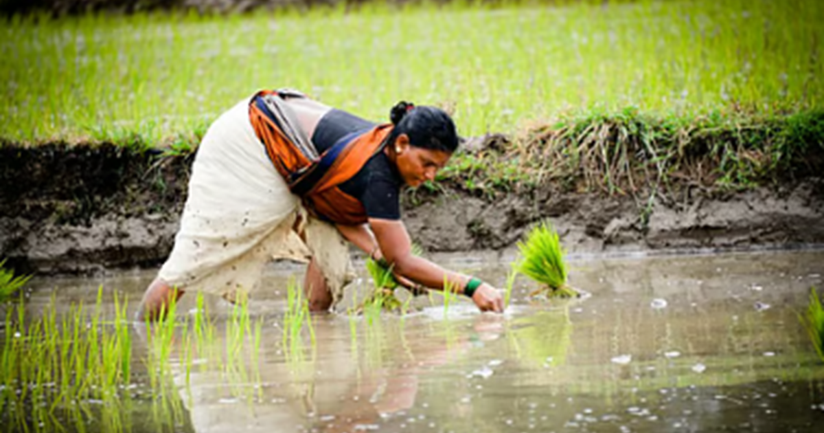 Kisano ke liye badi khushkhabri: Rasayan mukt kheti se kisan