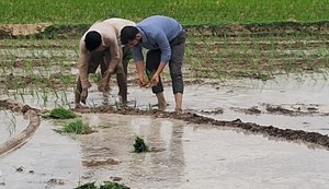 Jila Krishi Padadhikari Sikta Prakhand ka kiya bhraman, sikhaane lage ropani ke gun...