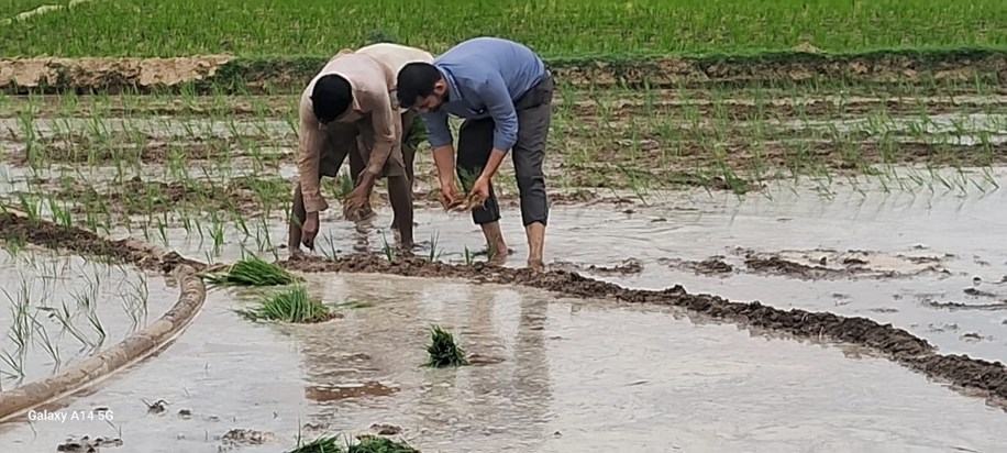 Jila Krishi Padadhikari Sikta Prakhand ka kiya bhraman, sikh