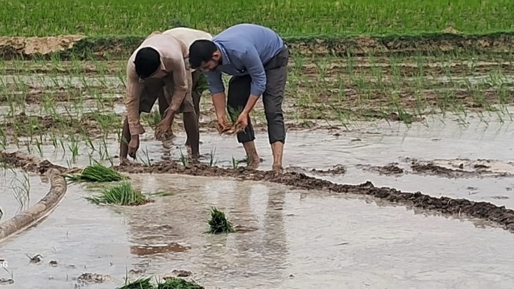 Jila Krishi Padadhikari Sikta Prakhand ka kiya bhraman, sikh