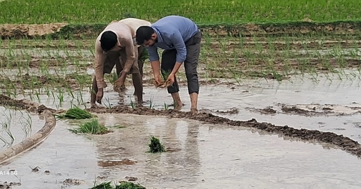 Jila Krishi Padadhikari Sikta Prakhand ka kiya bhraman, sikh