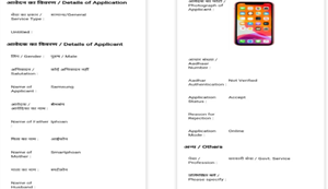 Aavedan mein aavedak ka naam 'Samsung', pita 'iPhone', mata 'Smartphone'...