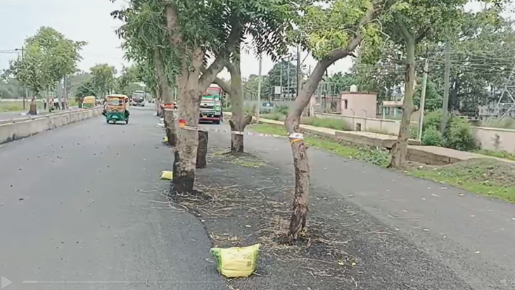 Bihar mein gazab karnama! Hadsa ko nimntran de raha sadak ke