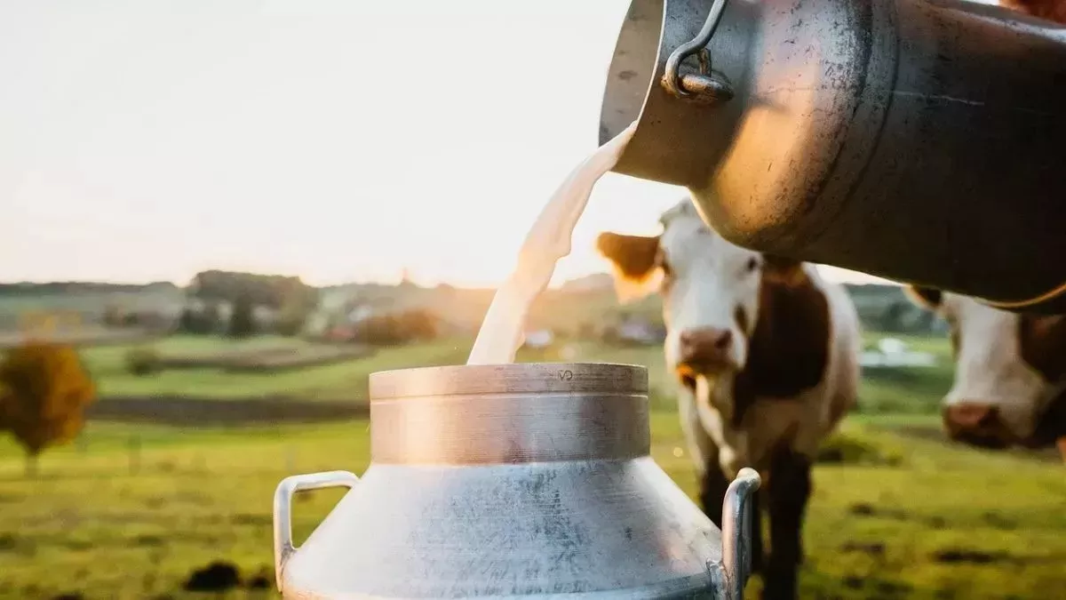 Bihar mein khulenge dairy plant, in paanch jilon mein kharch honge kareeb 317 crore