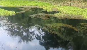 Saza-e-Kala Pani: Mujaffarpur me logon ko kala pani ki mil rahi saza, shikayat ke baad bhi sarkar maun