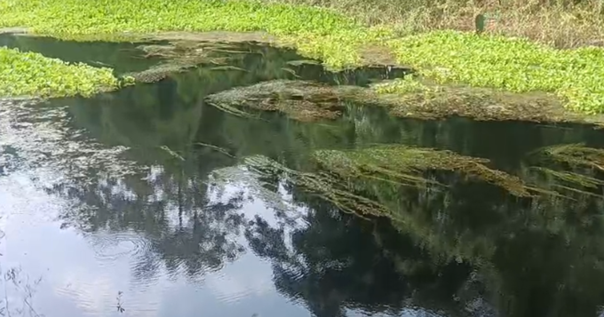 Saza-e-Kala Pani: Mujaffarpur me logon ko kala pani ki mil r