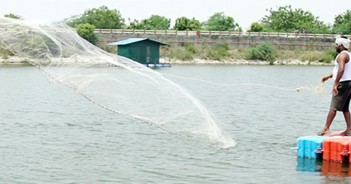 Bihar mein machli palan ko nai unchai : Mukhyamantri Talab M