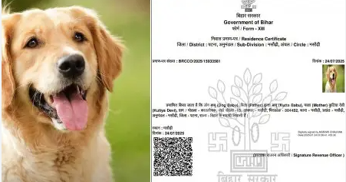 Kutte ki tasveer ke saath nivaas pramanpatra jaari, maa ka n