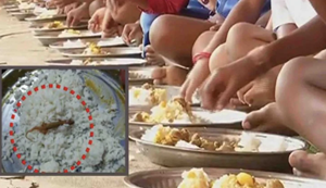 Darbhanga ke school mein mid day meal khane se 30 bacche bimaar, chipkali milne ki aashanka...