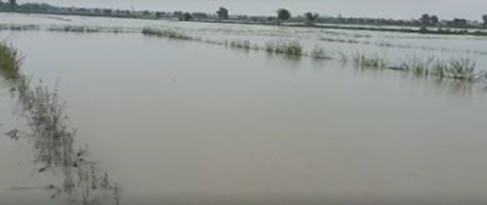 Bihar Flood : Jahanabad mein baadh se trast kisaano ka foota