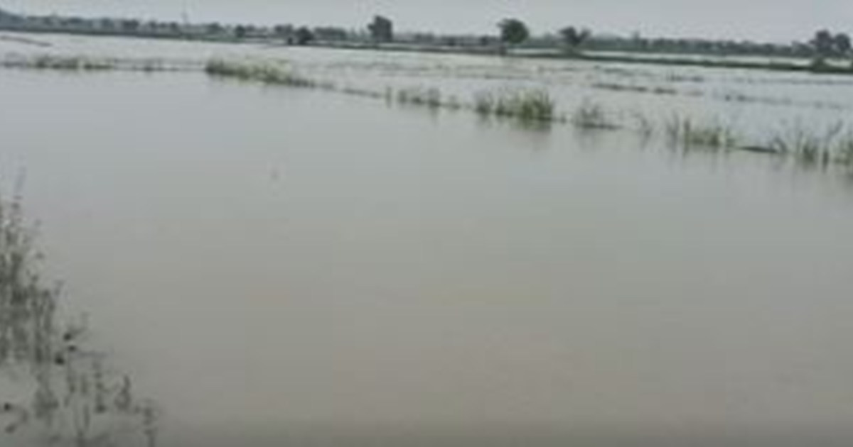 Bihar Flood : Jahanabad mein baadh se trast kisaano ka foota