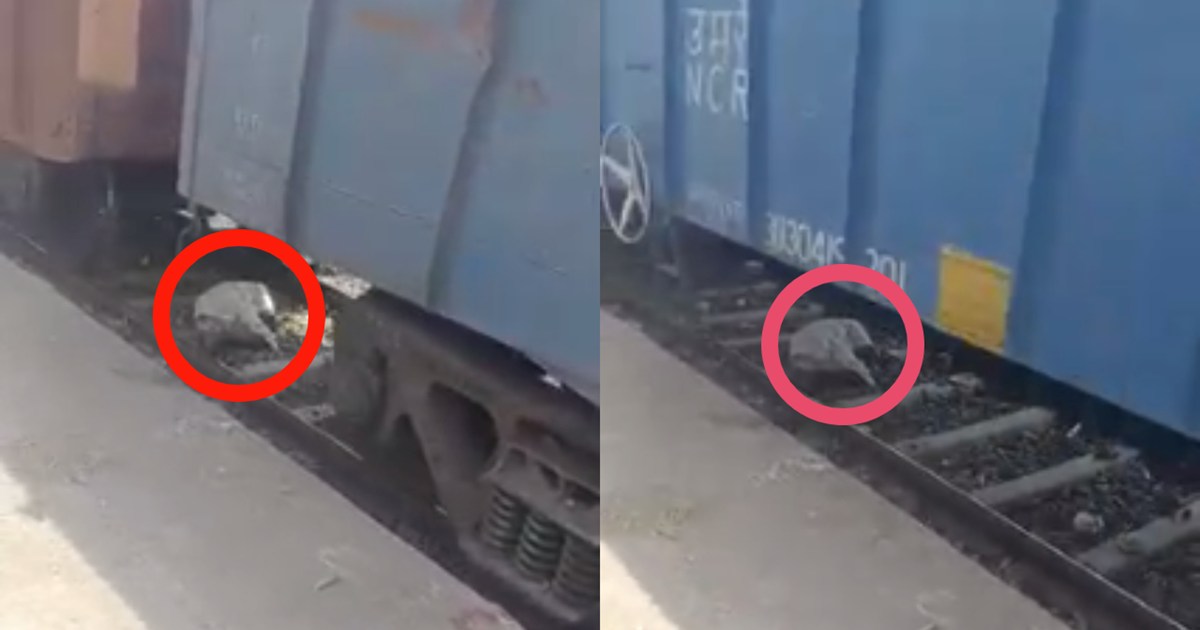 The goods train passed over the old man, not even a scratch 