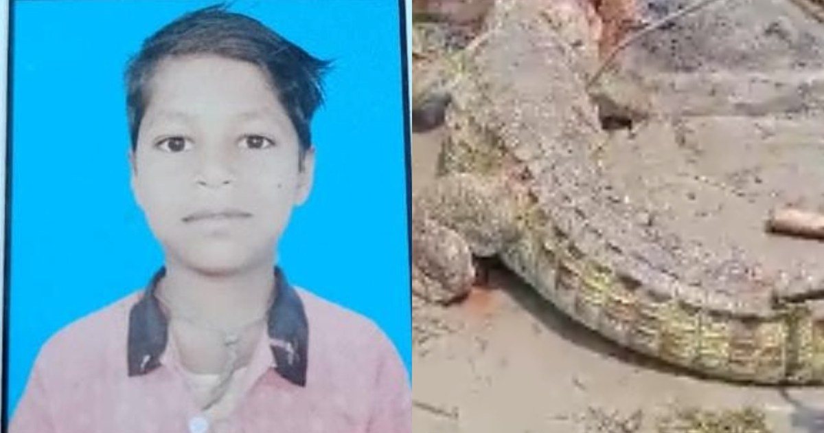 Crocodile caught the child who went to take water from river