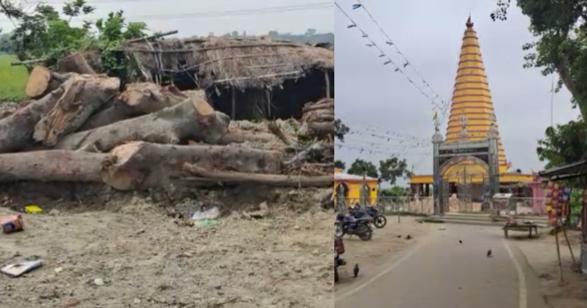 People's anger over cutting of years old tree, complaint to 