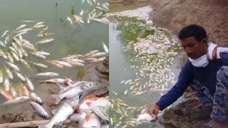 2 kg fish was not found in extortion, so the fisherman lost 