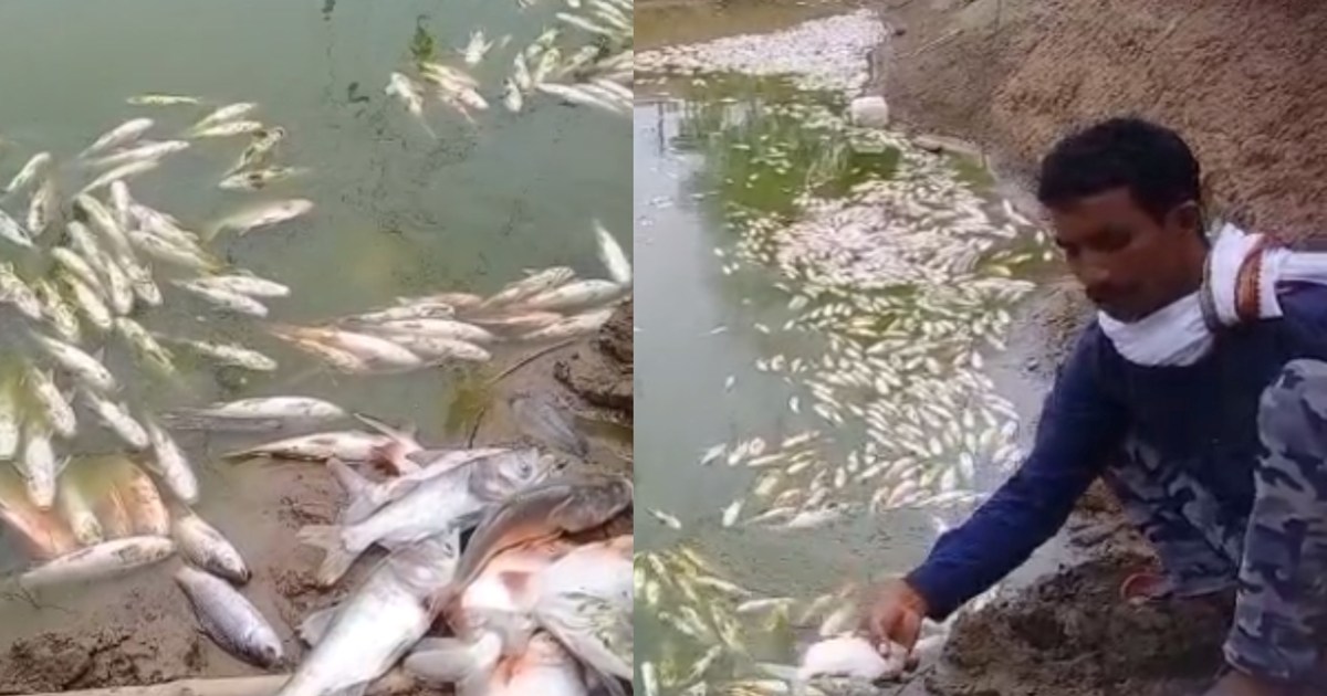2 kg fish was not found in extortion, so the fisherman lost 