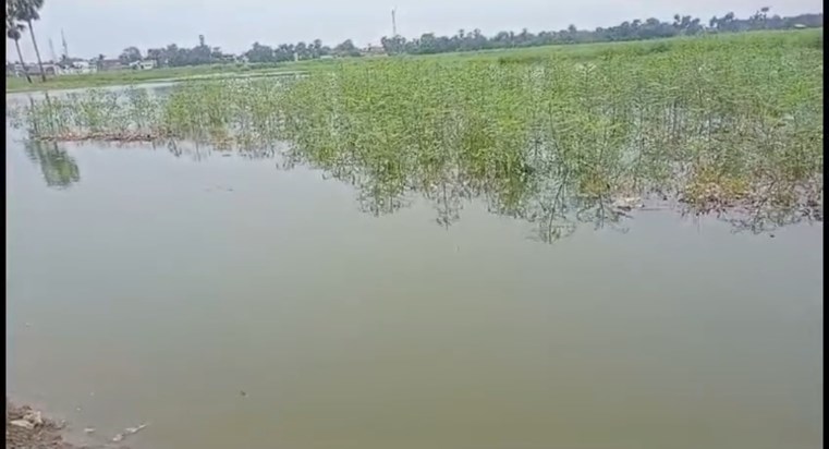 On one hand there is severe heat in Bihar, on the other hand On one hand there is severe heat in Bihar, on the other hand