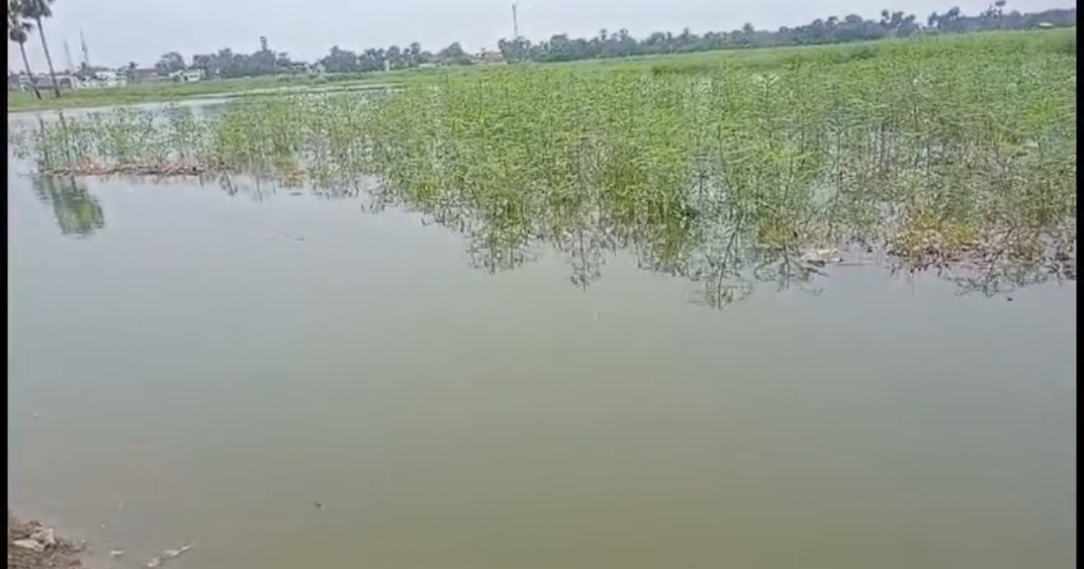 On one hand there is severe heat in Bihar, on the other hand