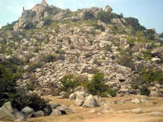 Tree plantation will be done on the bare mountain of Magadh Tree plantation will be done on the bare mountain of Magadh