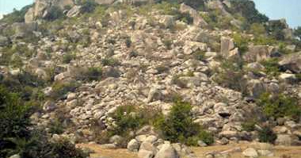 Tree plantation will be done on the bare mountain of Magadh 