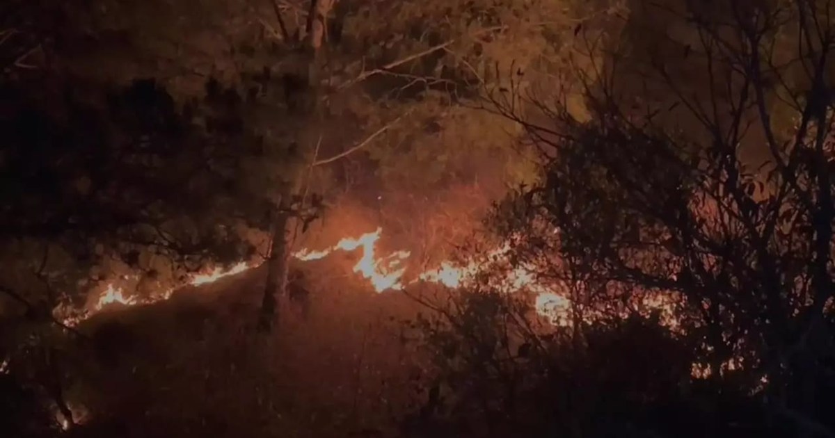 4 forest workers who tried to extinguish the forest fire die