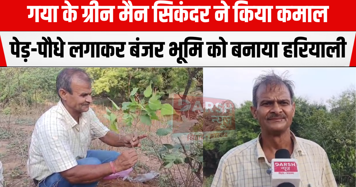 Amazing feat of Green Man Sikandar, planted more than 1 lakh