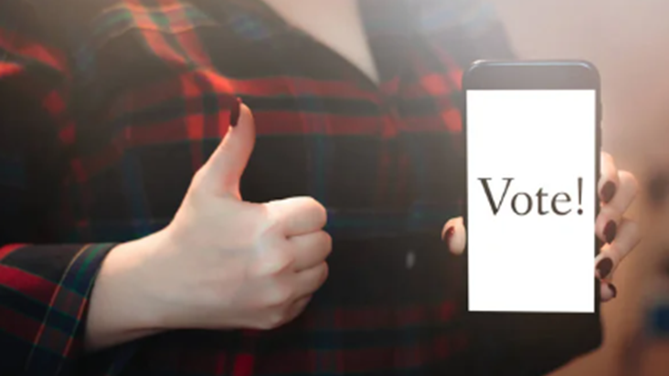 Bihar mein de sakte hain Online Vote, Online voting system s