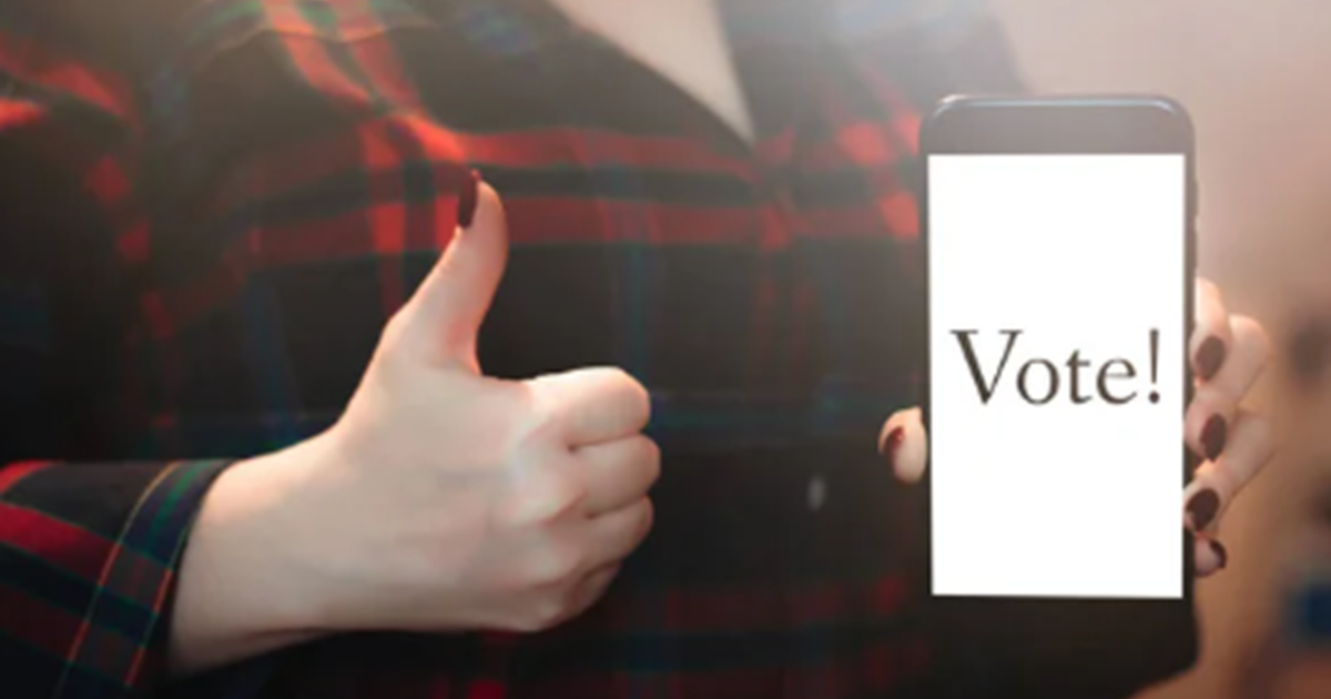 Bihar mein de sakte hain Online Vote, Online voting system s