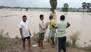 Jehanabad Flood : Falgu nadi mein ufaan se kai gaavon mein baadh jaise haalat, kisaano ki faslen jalmagn...
