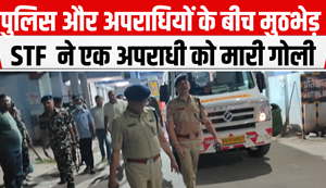 Encounter between police and criminals, STF shot a criminal...