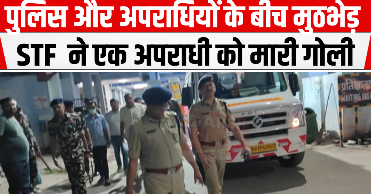 Encounter between police and criminals, STF shot a criminal.