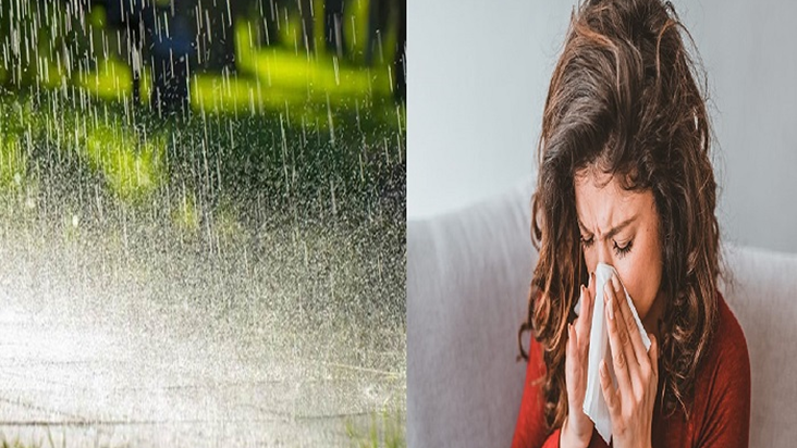 Monsoon Diseases: Maansoon baarish de rahi bimariyon ko dast