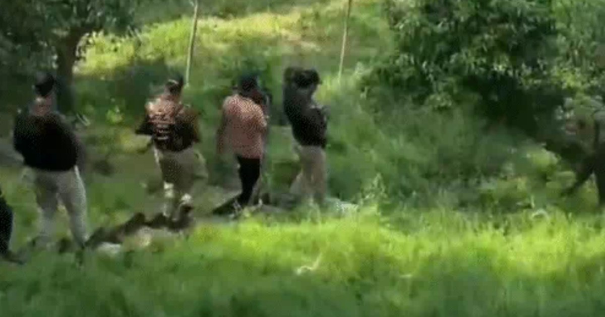 Three terrorists killed in the encounter, three security for