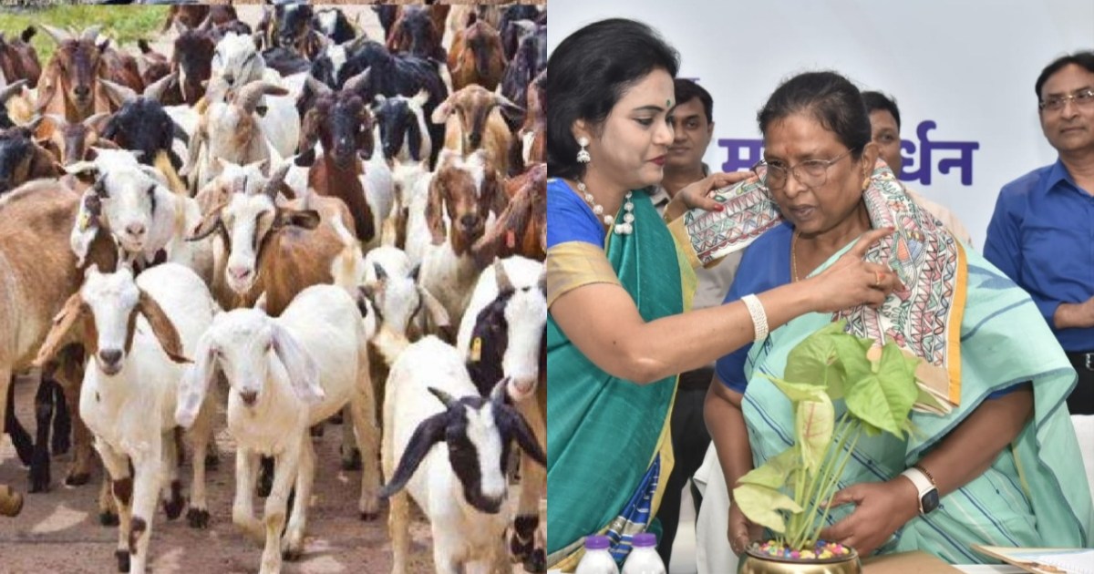 Goat is like an ATM for rural women - Minister Renu Devi