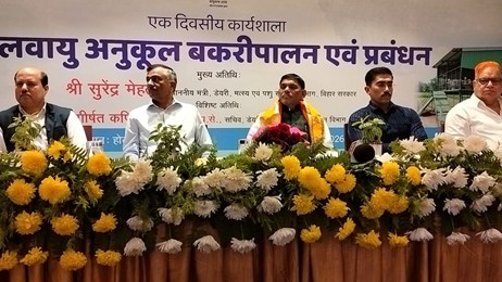 बकरी पालन से बनेगा लोगों के आय का बड़ा स्रोत? राज्य सरकार दे रही है...