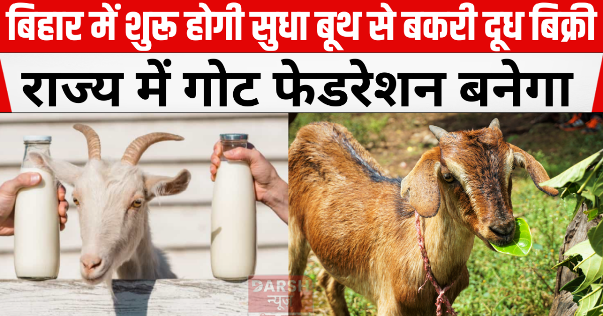 Sale of goat milk will start from Sudha booth in Bihar