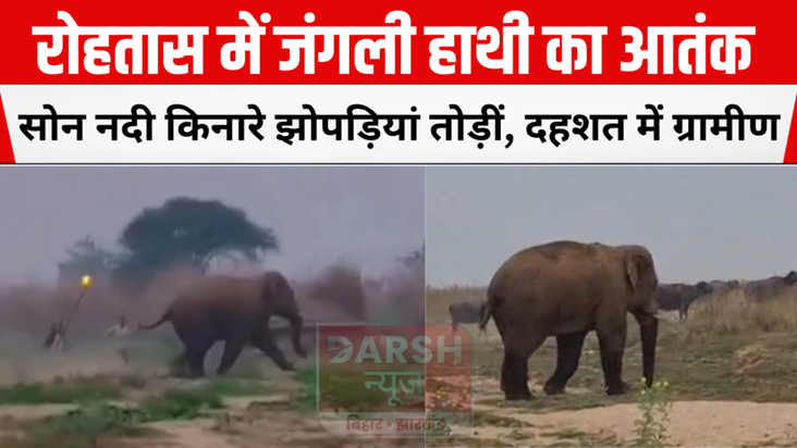 Wild elephant terror in Rohtas