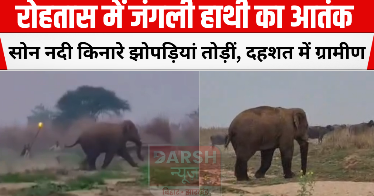 Wild elephant terror in Rohtas