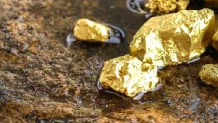 Gold only gold in Bihar's Banka! Excavation with state-of-th Gold only gold in Bihar's Banka! Excavation with state-of-th