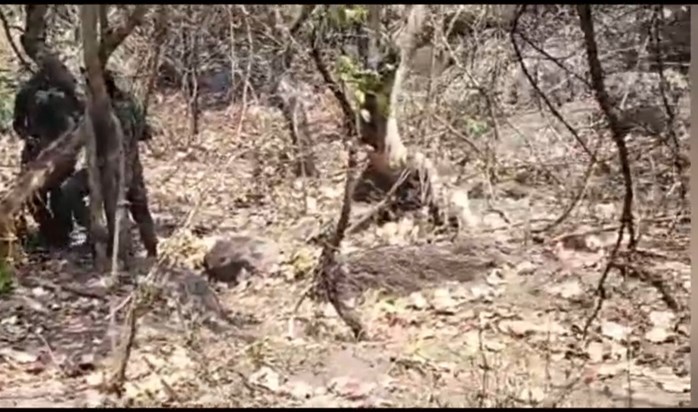 Naxalite plot to target police failed, 12 IEDs recovered Naxalite plot to target police failed, 12 IEDs recovered
