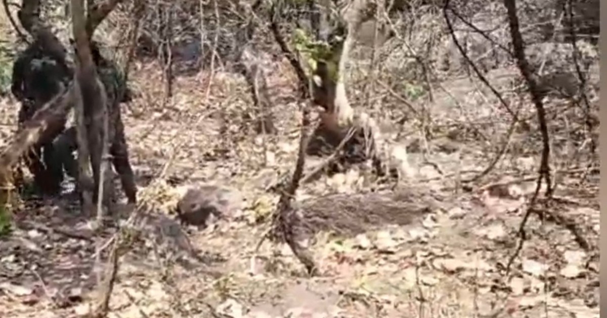 Naxalite plot to target police failed, 12 IEDs recovered